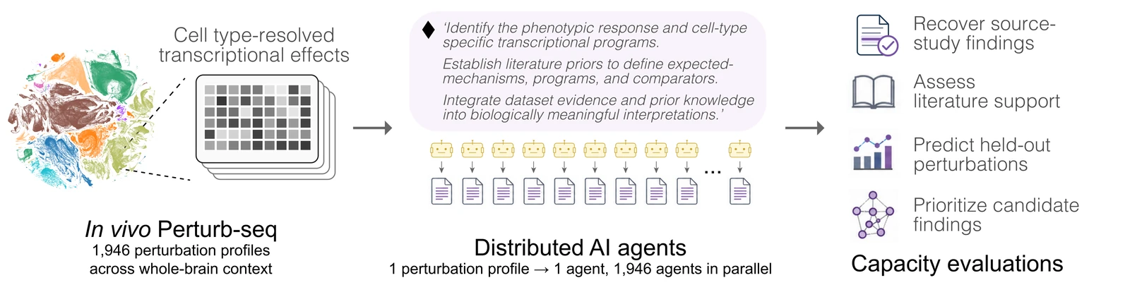 Whole-brain Perturb-seq data split one perturbation per agent, each agent following the same instruction template and writing a report that feeds shared evaluations.